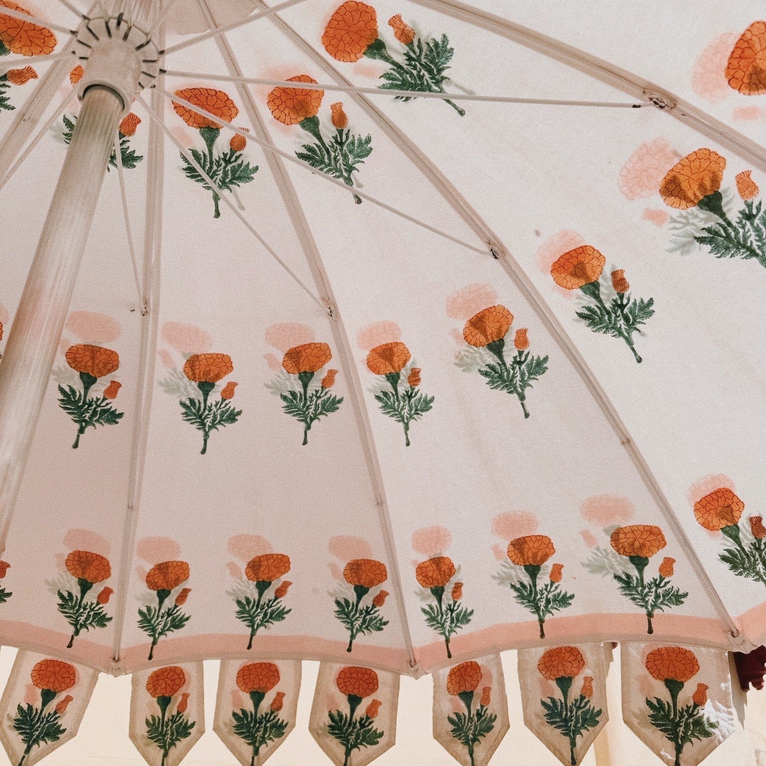 Katie's Dispatch from India