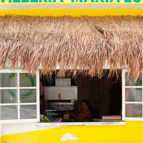 mirth travel: holbox island, mexico.