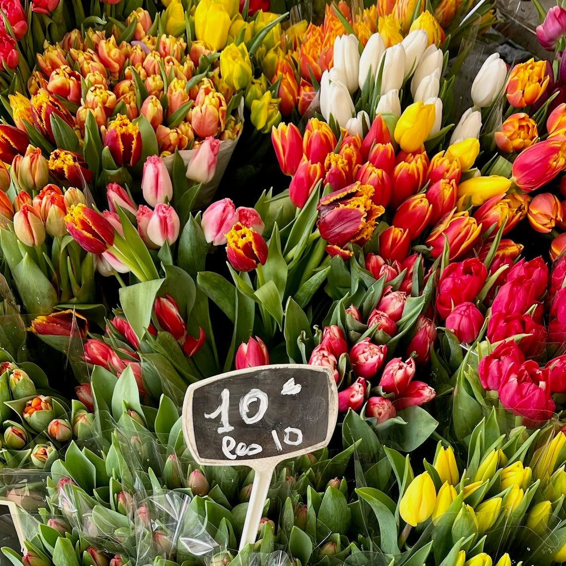 Katie's Postcard from the South of France 🥐