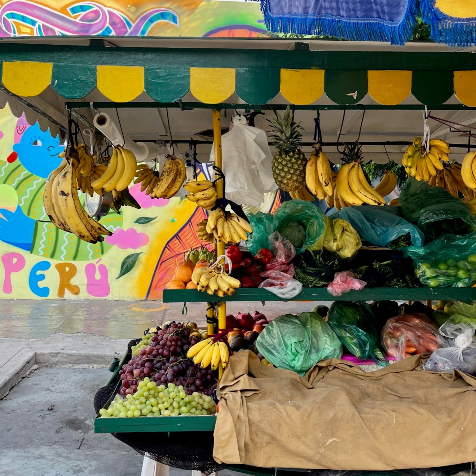 Passport To Peru 🦙