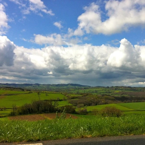 the road is for wandering.