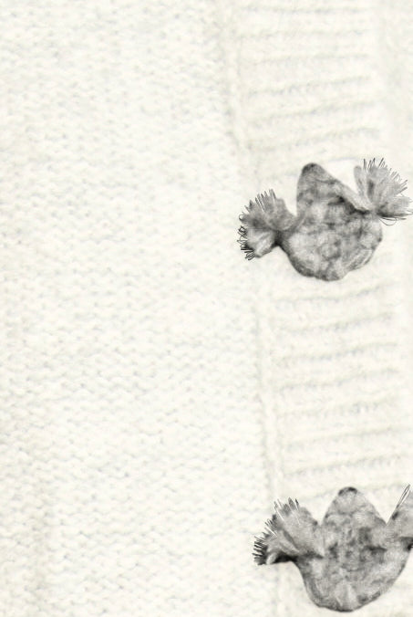 Two small, textured objects on a textured white background