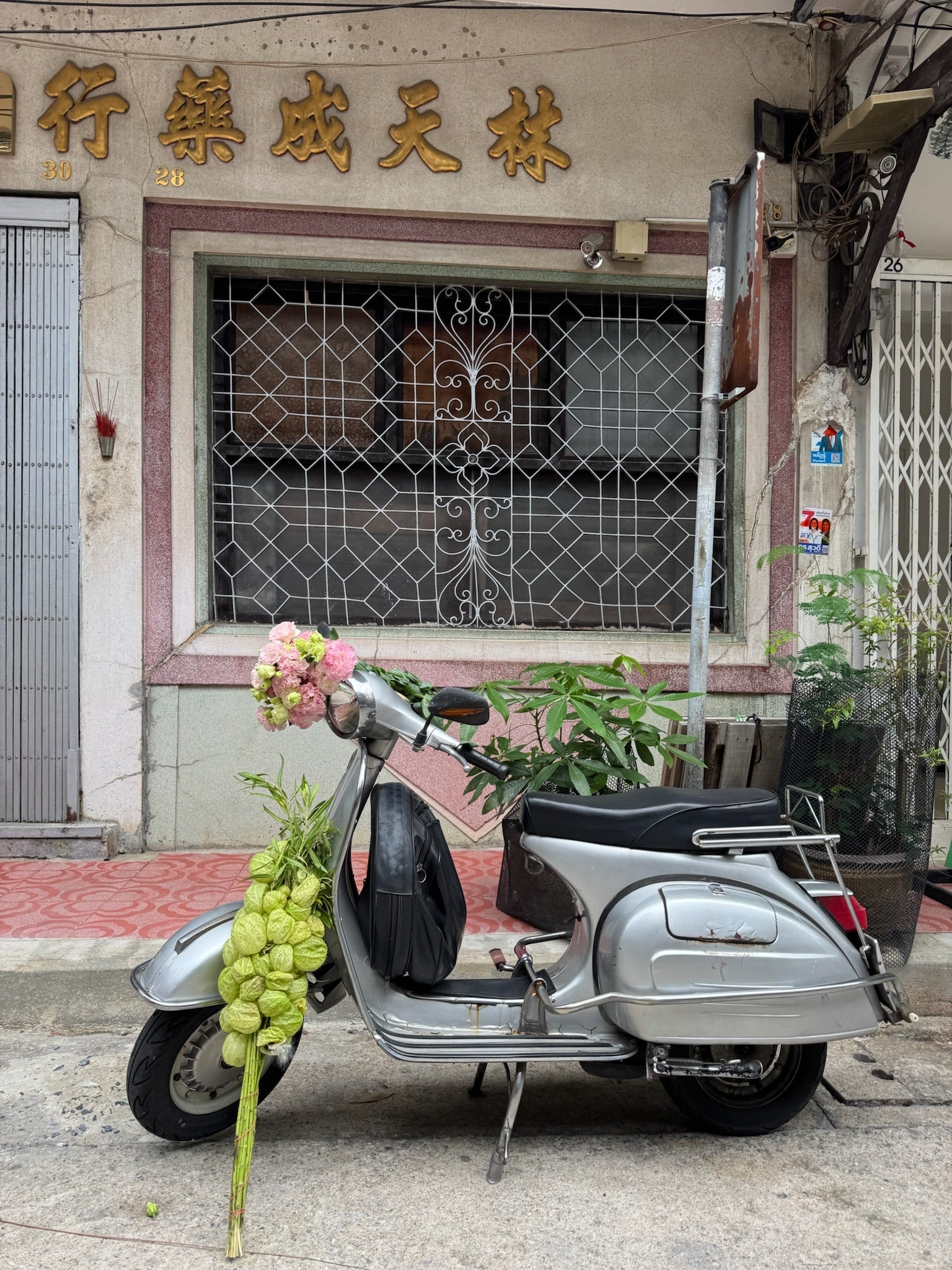 Travel Journal from Bangkok 🪷