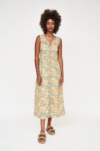 zanzibar in olive bloom