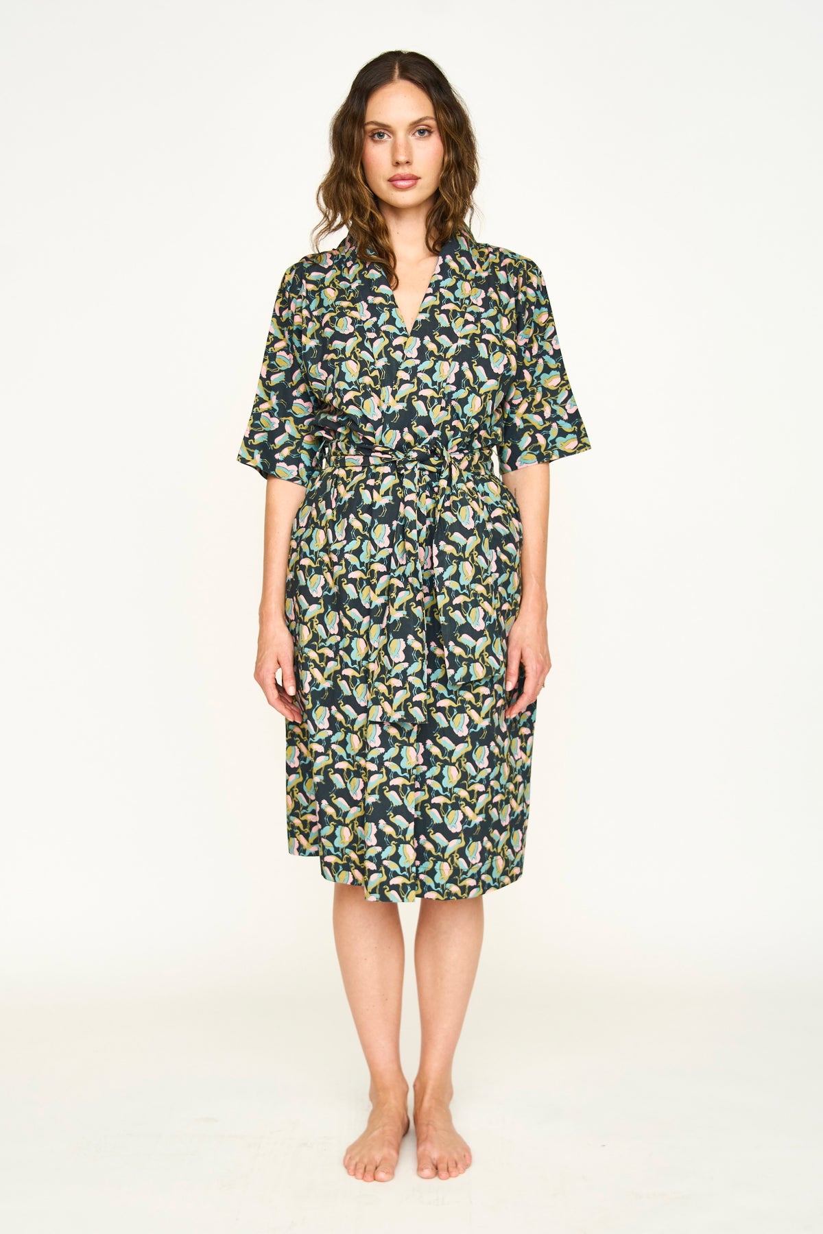Laos Robe Blackbird